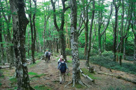 ハイキング　トレッキング