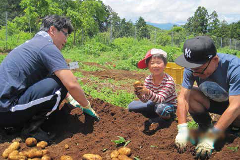 季節の野菜収穫体験