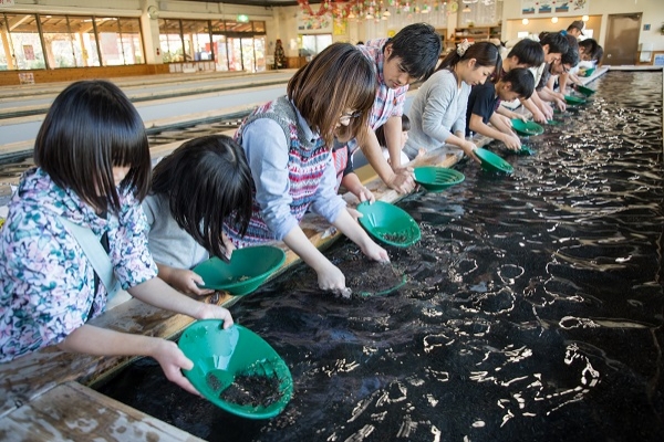 温泉砂金採り体験